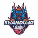 山东赤水河酒女篮